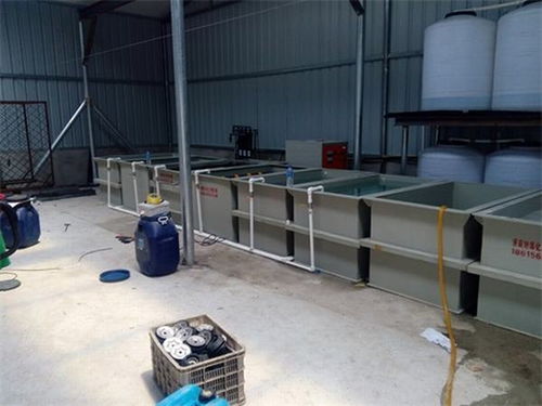 电泳设备与针纺织品销售 淄博旭辉工厂直销优势解析