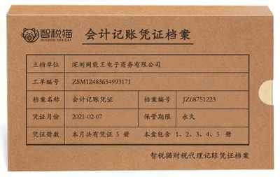 公司代为记账服务案例 深圳网能王电子商务针纺织品销售代理记账分析